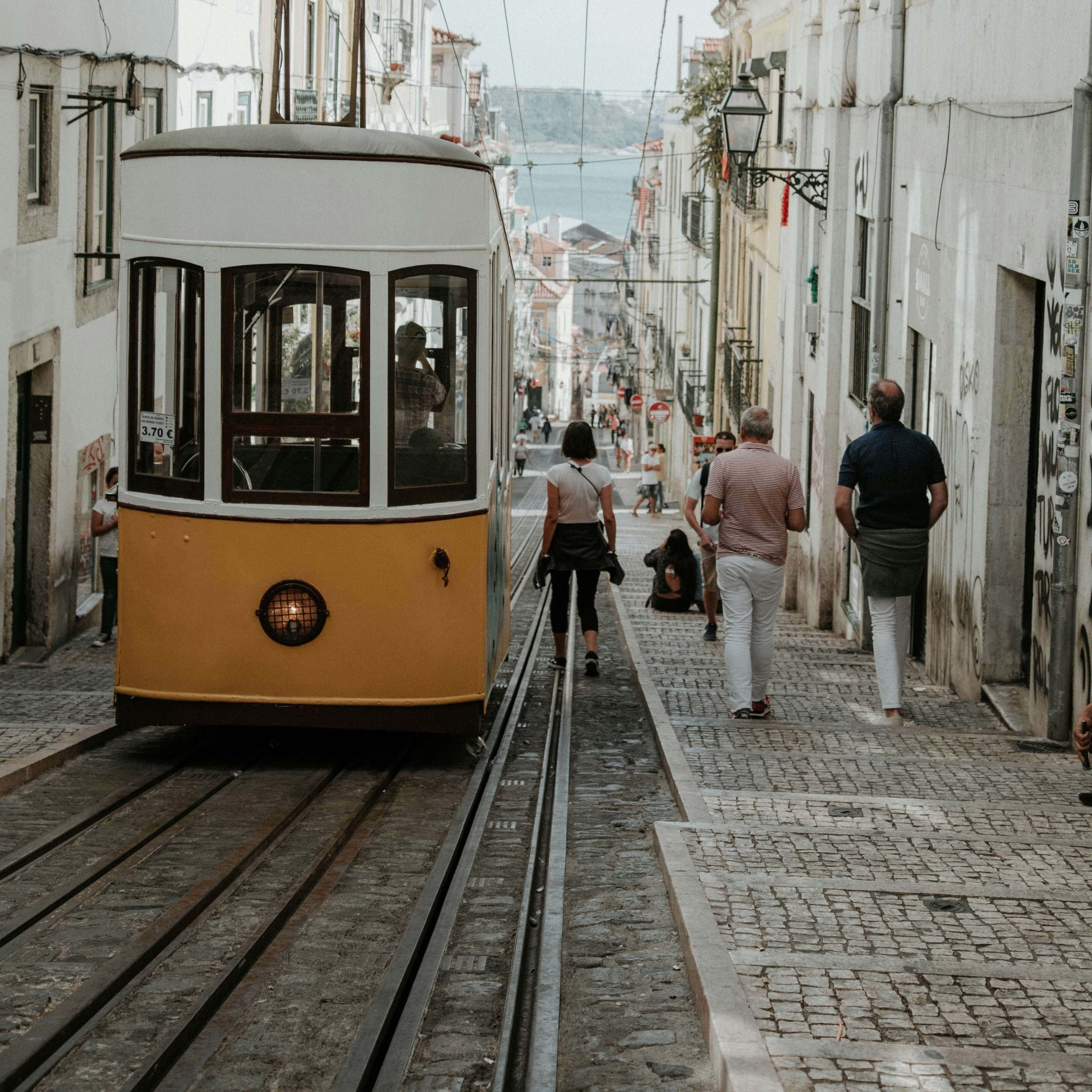dialtotrip