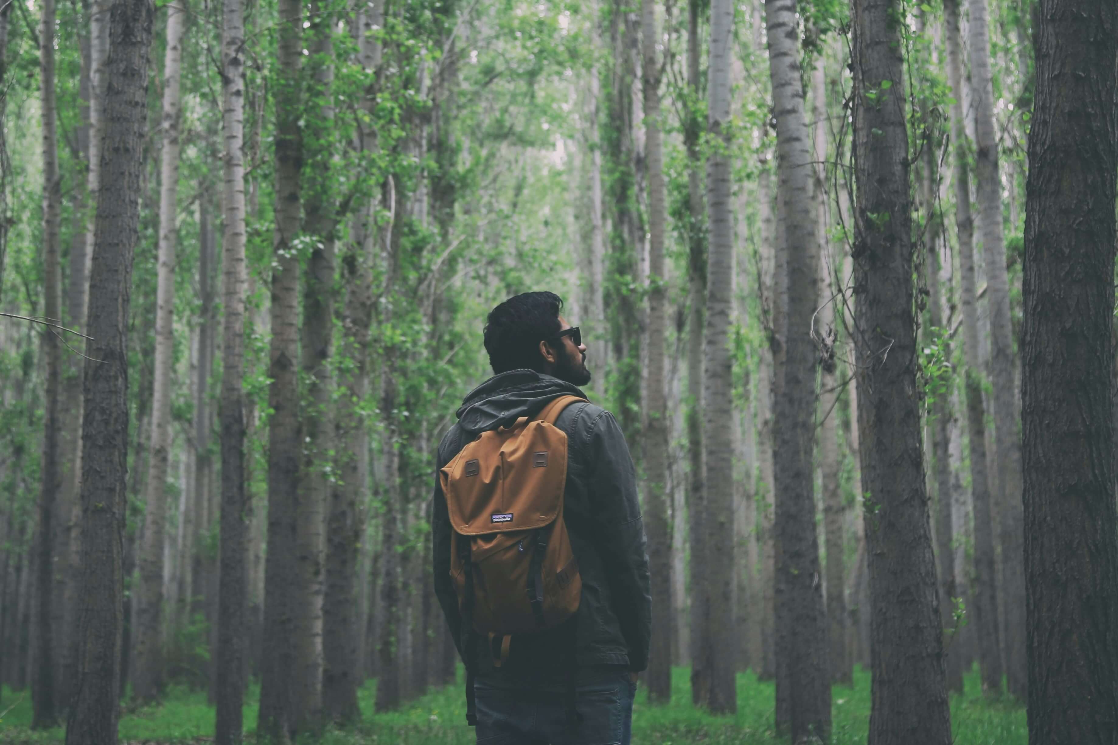 dialtotrip